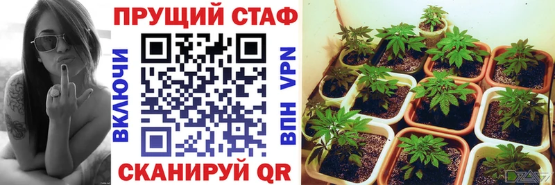 Купить наркоту Починок АМФЕТАМИН  КОКАИН  МЕФ  МАРИХУАНА  ГАШИШ 