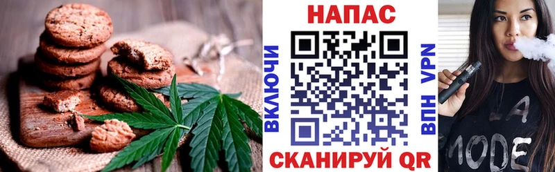 где купить Починок Canna-Cookies конопля