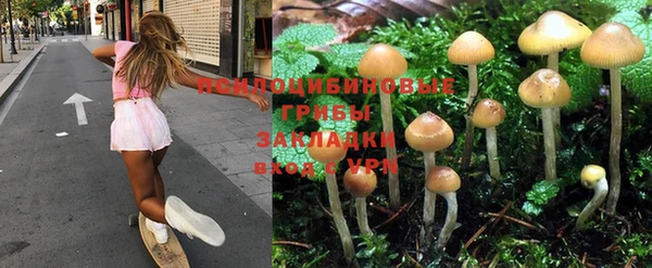 не бодяженный Алзамай